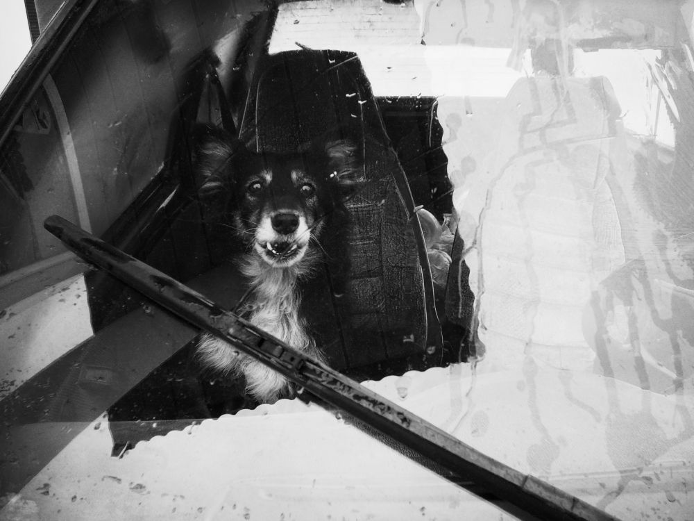 Photograph by Алексей Серпов