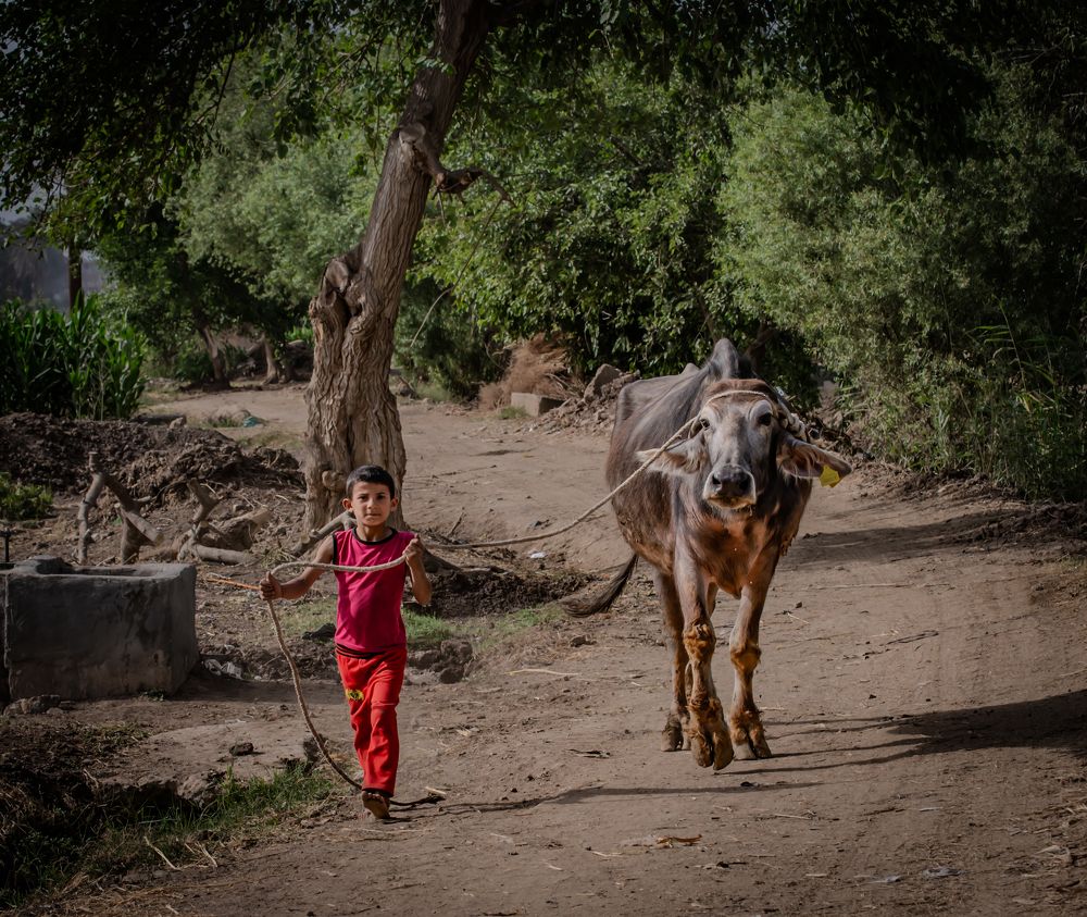 Photograph by Mohammed Abuelgasim