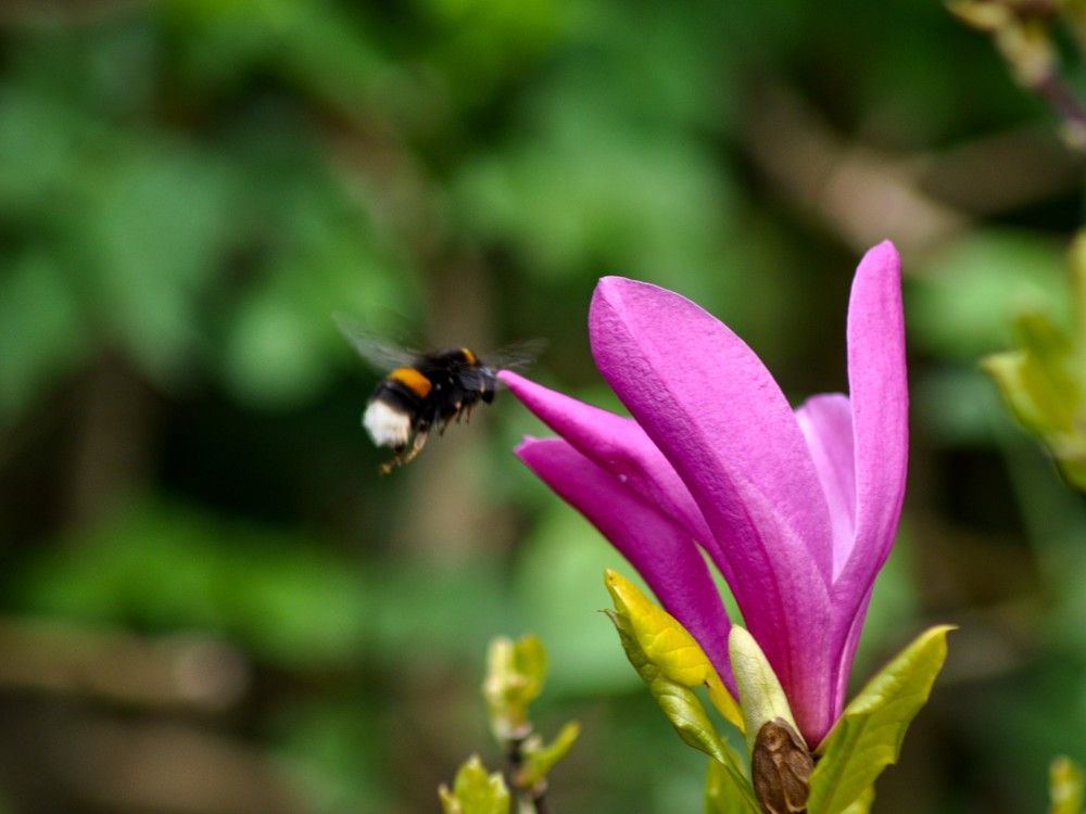 Photograph by Stoyan Baev