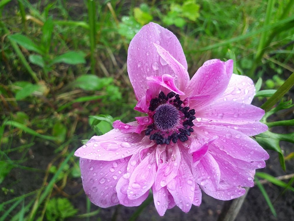 Photograph by Инна Голубева