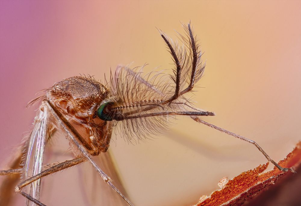 Photograph by Юрий Юрьевич Подгрушный