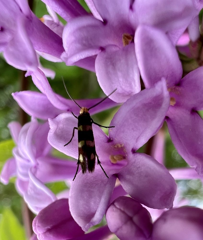 Photograph by Александра Акси