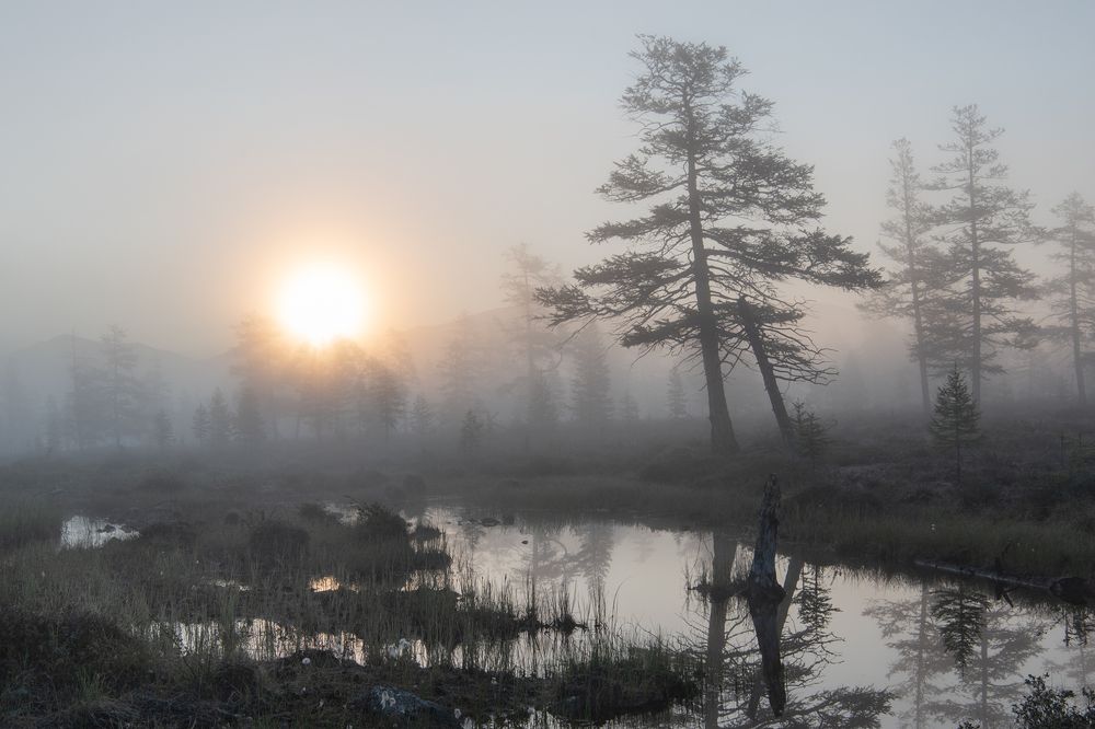 Photograph by Крицак Ольга