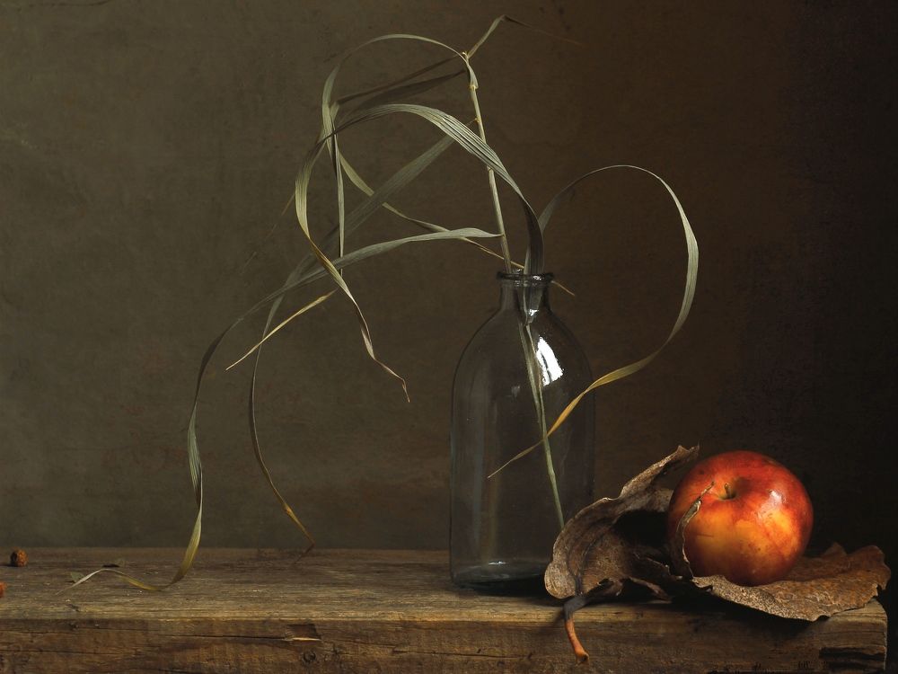 Photograph by Евсеева Валентина