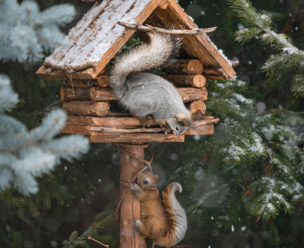 Photograph by NADEZHDA PELYMSKAIA