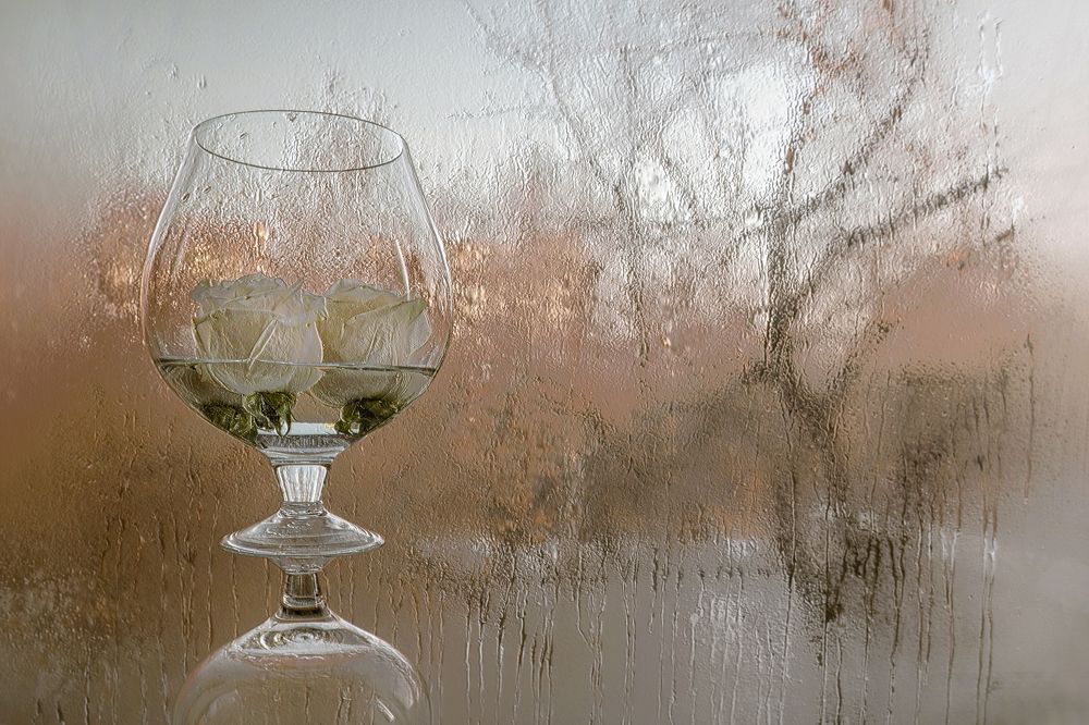 Photograph by NADEZHDA PELYMSKAIA