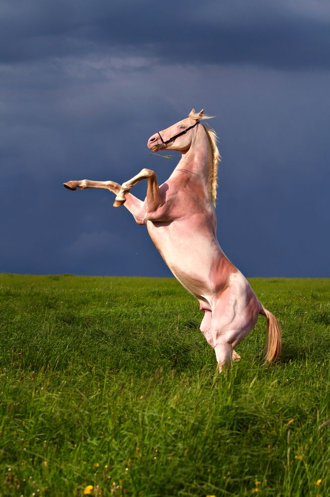 Photograph by Наталья Матюхина