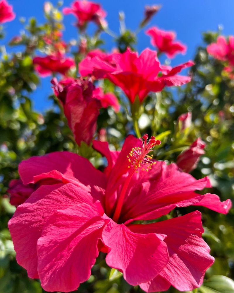 Photograph by Шестакова Наталья