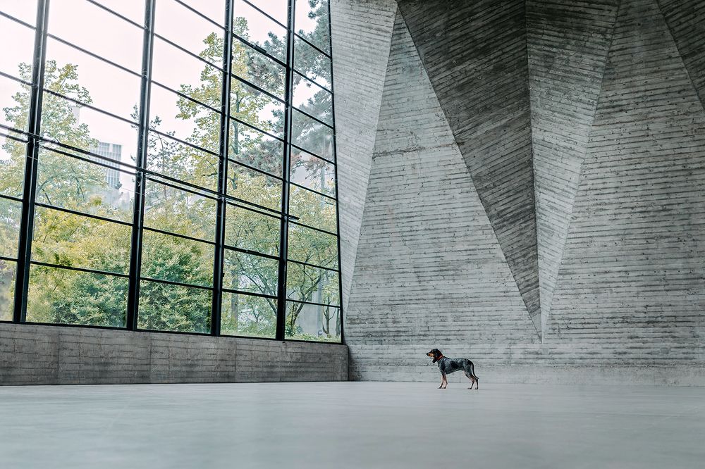 little one in the hall