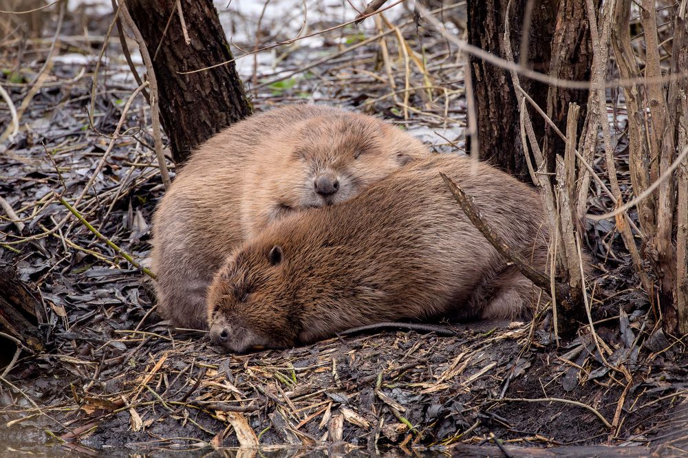 Photograph by Антон Науменко
