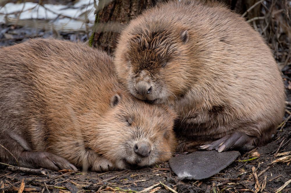 Photograph by Антон Науменко