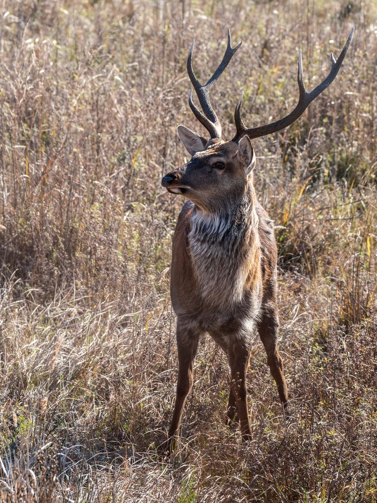 Photograph by Крицак Ольга