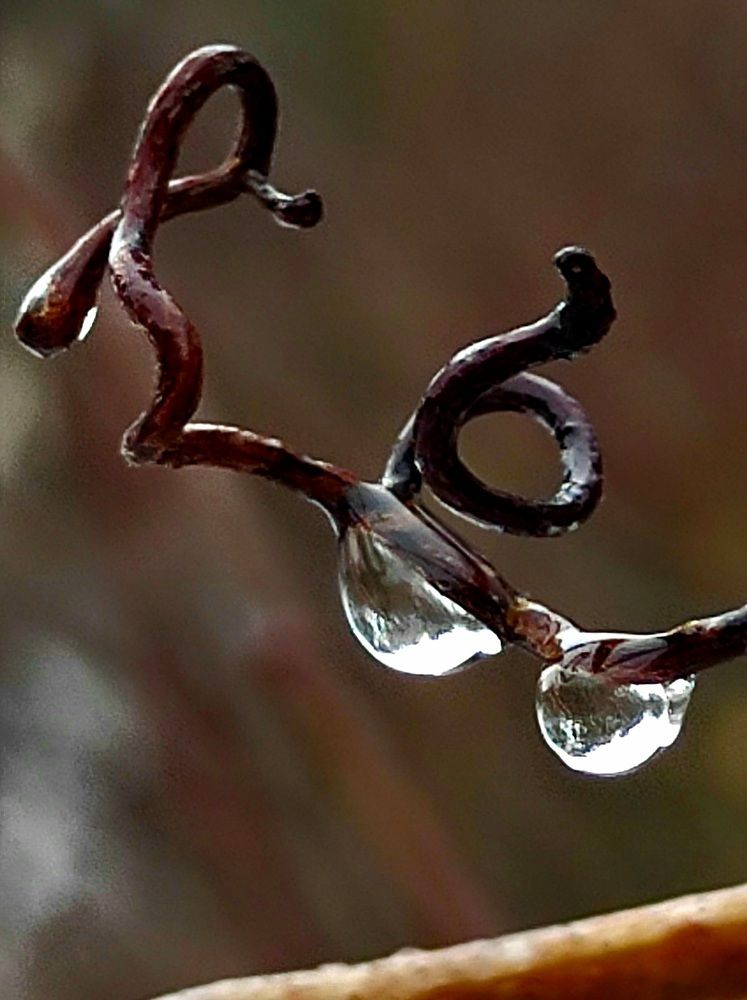 Photograph by Татьяна Солтан