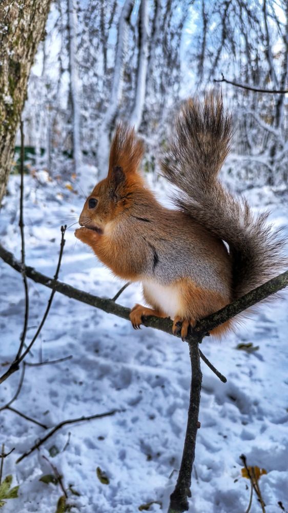 Photograph by Ирина Подосинникова