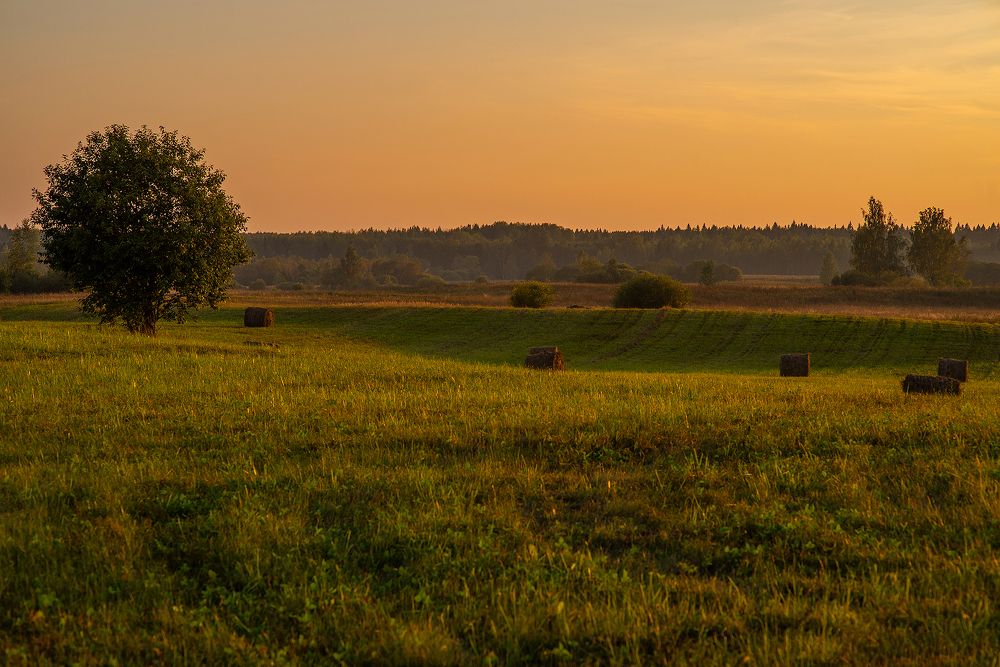 Photograph by Виталий Монахов