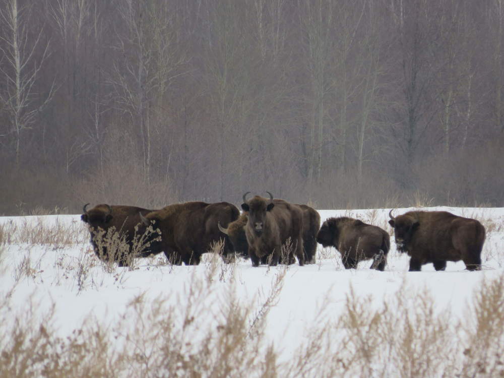 Photograph by Елена Кузина