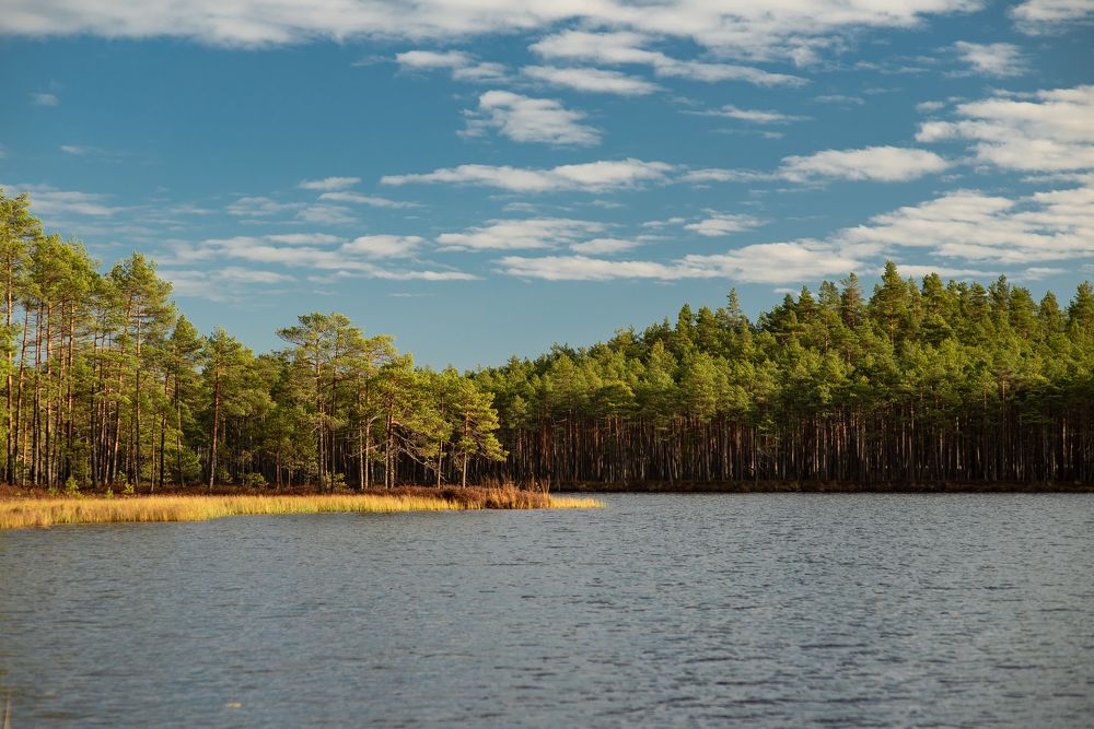 Photograph by Виталий Монахов