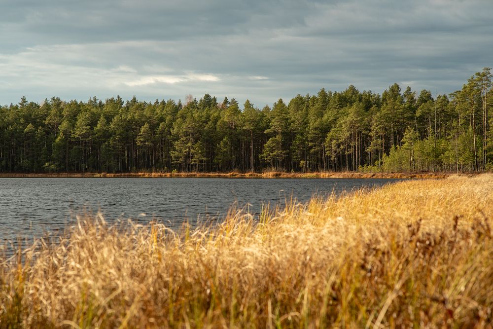 Photograph by Виталий Монахов