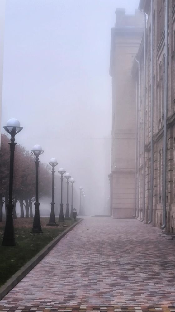 Photograph by Ирина Подосинникова