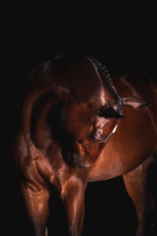 Photograph by Lea Styger