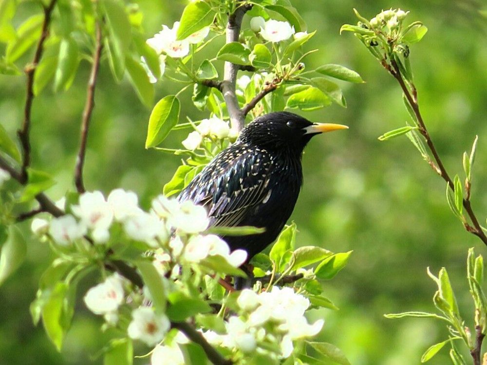 Photograph by Елена Кузина