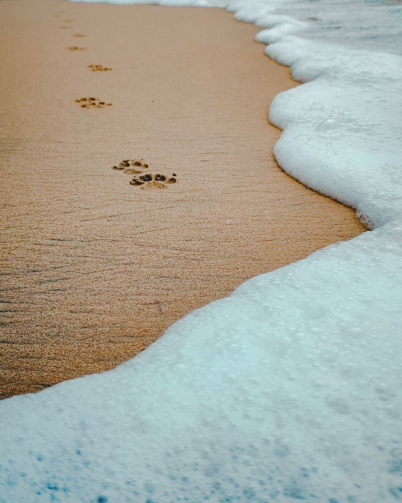 Photograph by Dakshitha Dinuka