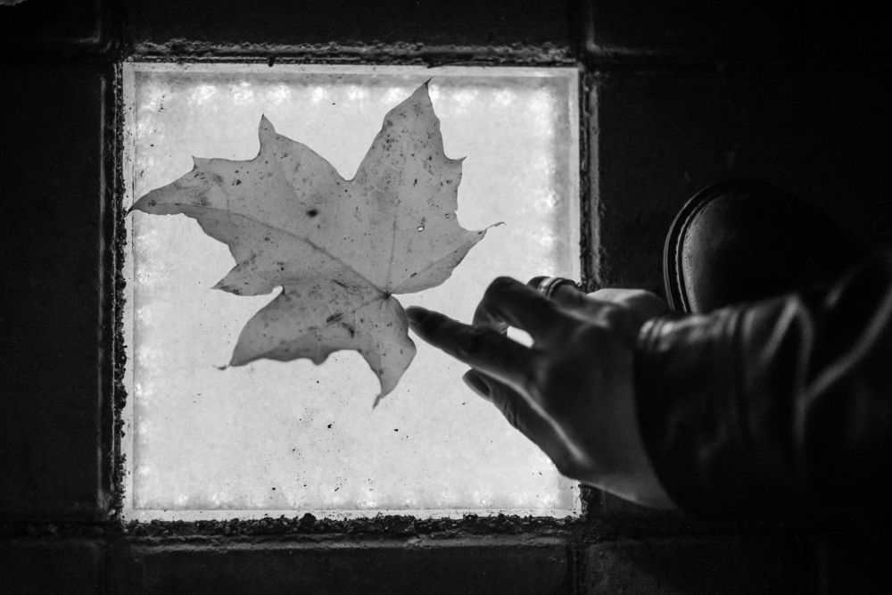 Photograph by Виталий Монахов