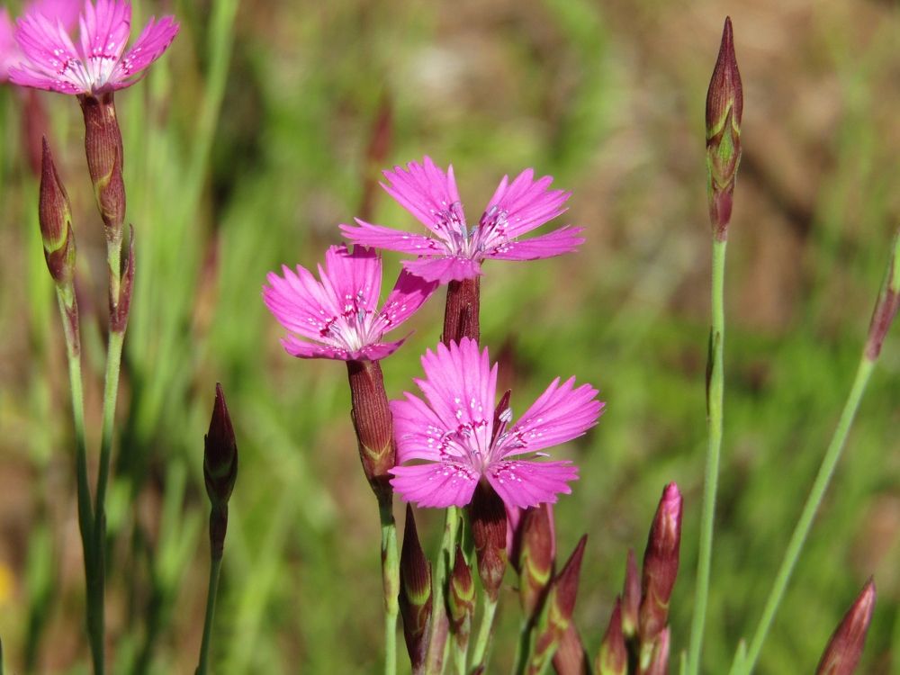 Photograph by Владимир Перминов