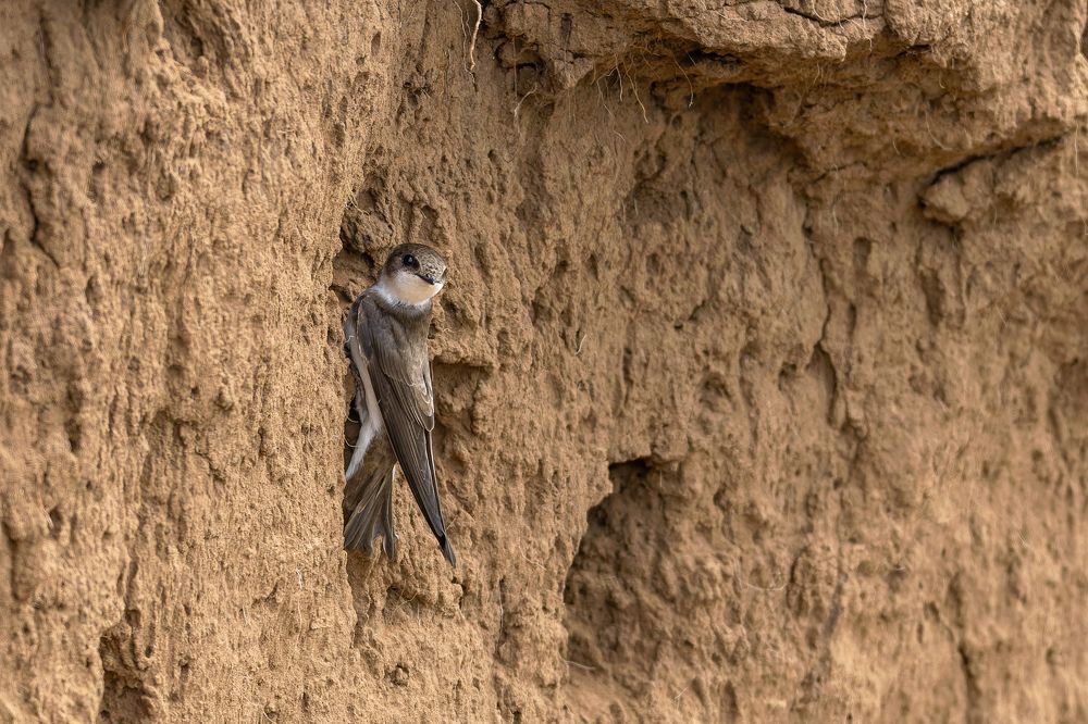 Photograph by Вера Машина