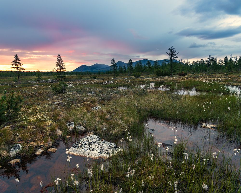 Photograph by Крицак Ольга