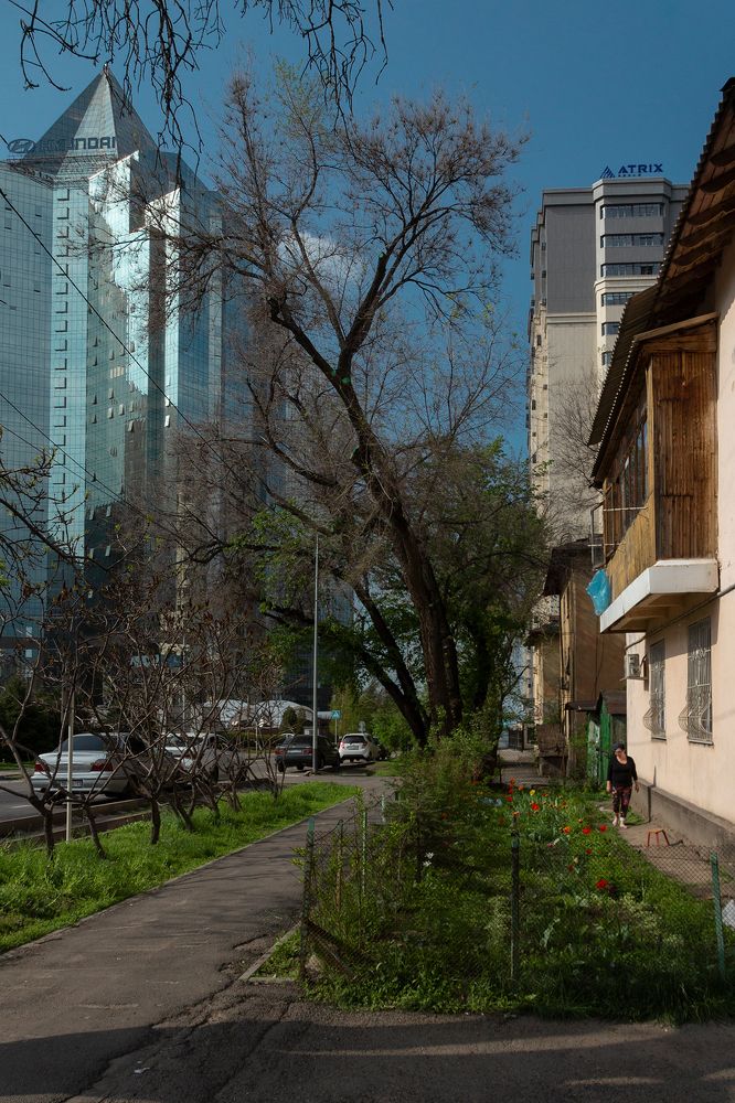 Photograph by Светлана Воробьёва