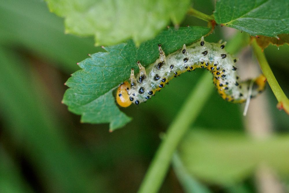 Photograph by Азат Кадиров