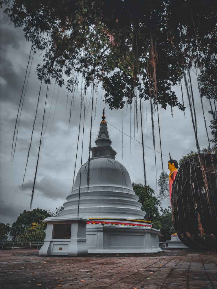 Photograph by Dakshitha Dinuka