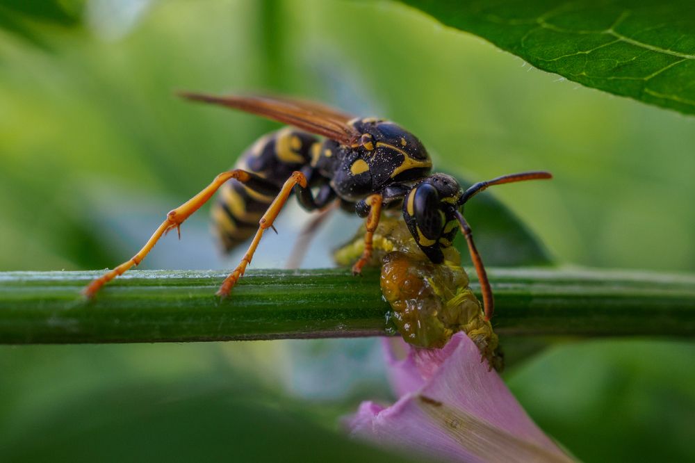 Photograph by Азат Кадиров