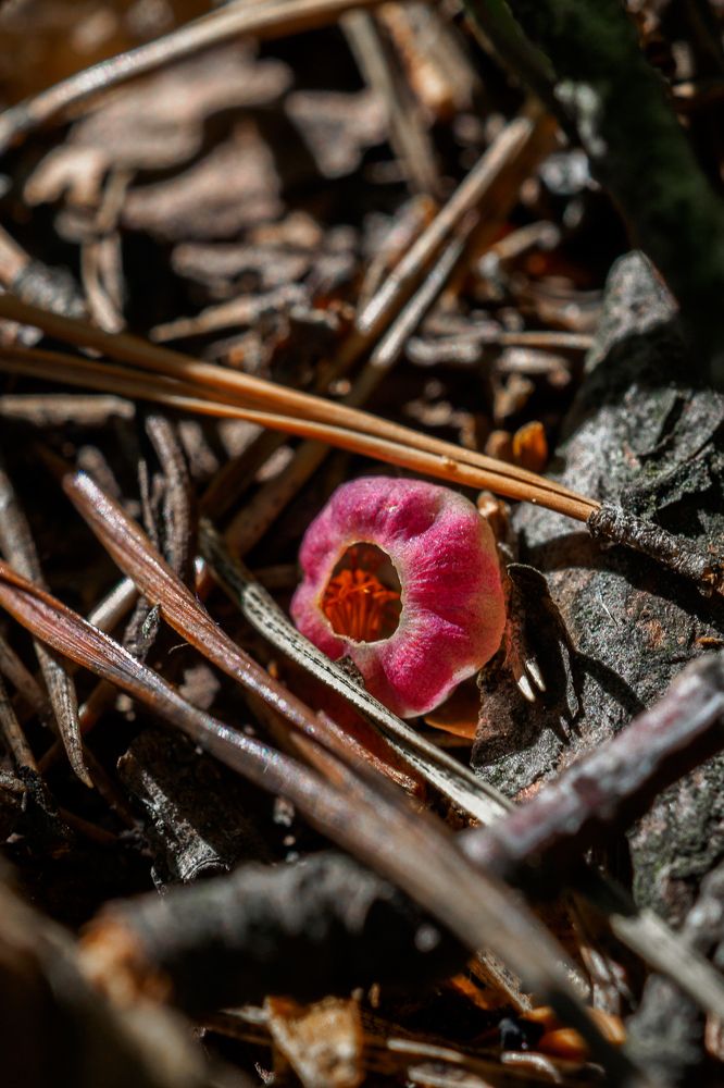 Photograph by Азат Кадиров