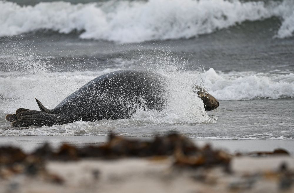 Photograph by nimalan subramaniam