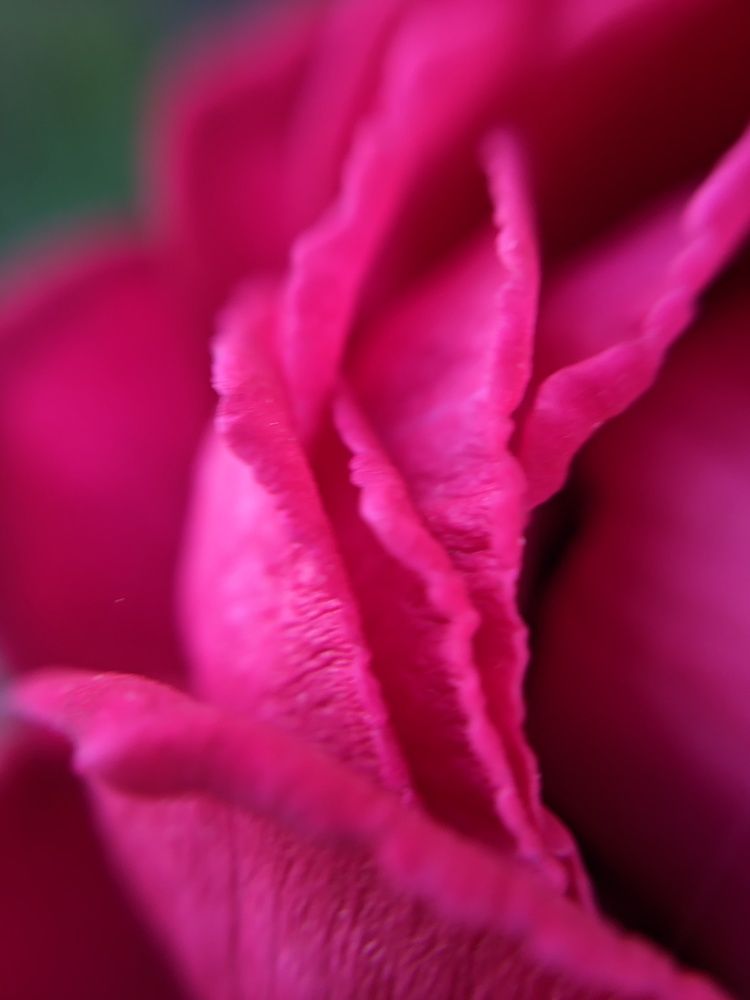 Photograph by Анна