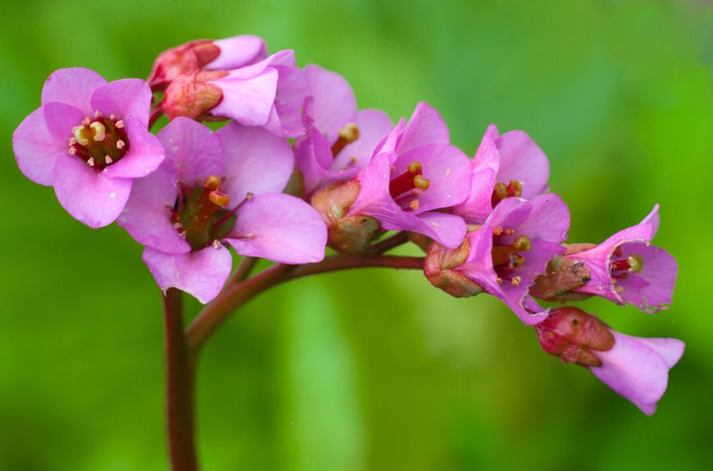 Photograph by Татьяна