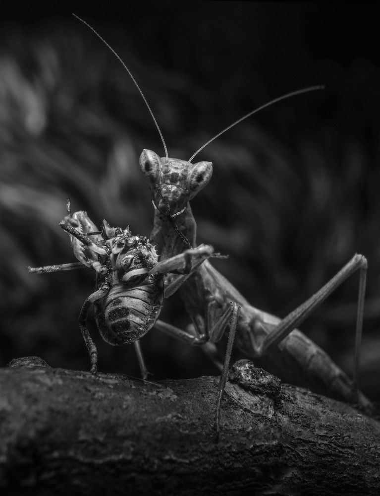 Photograph by Юрий Юрьевич Подгрушный