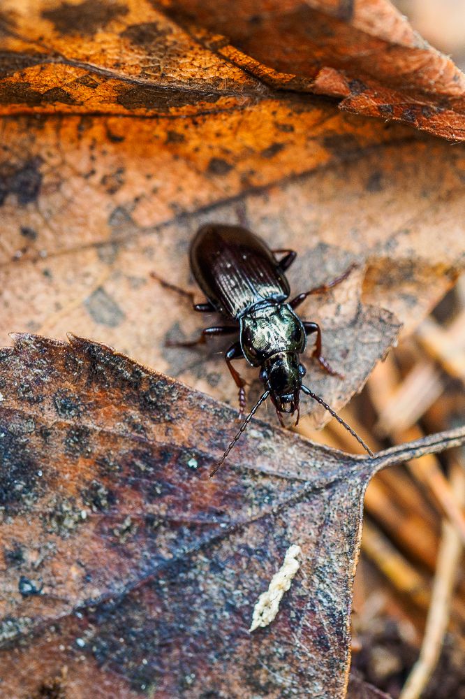 Photograph by Азат Кадиров