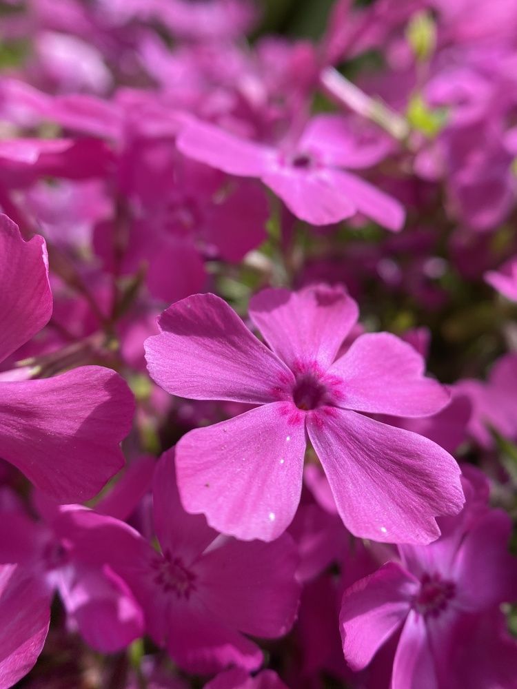 Photograph by Uladzimir Hvozd