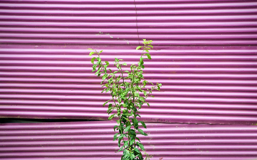 Photograph by Hengameh pirooz