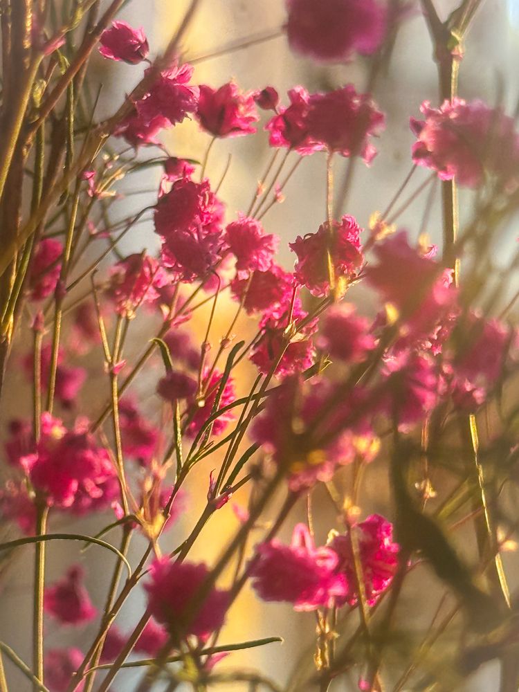 Photograph by Tanzilya Gabidullina