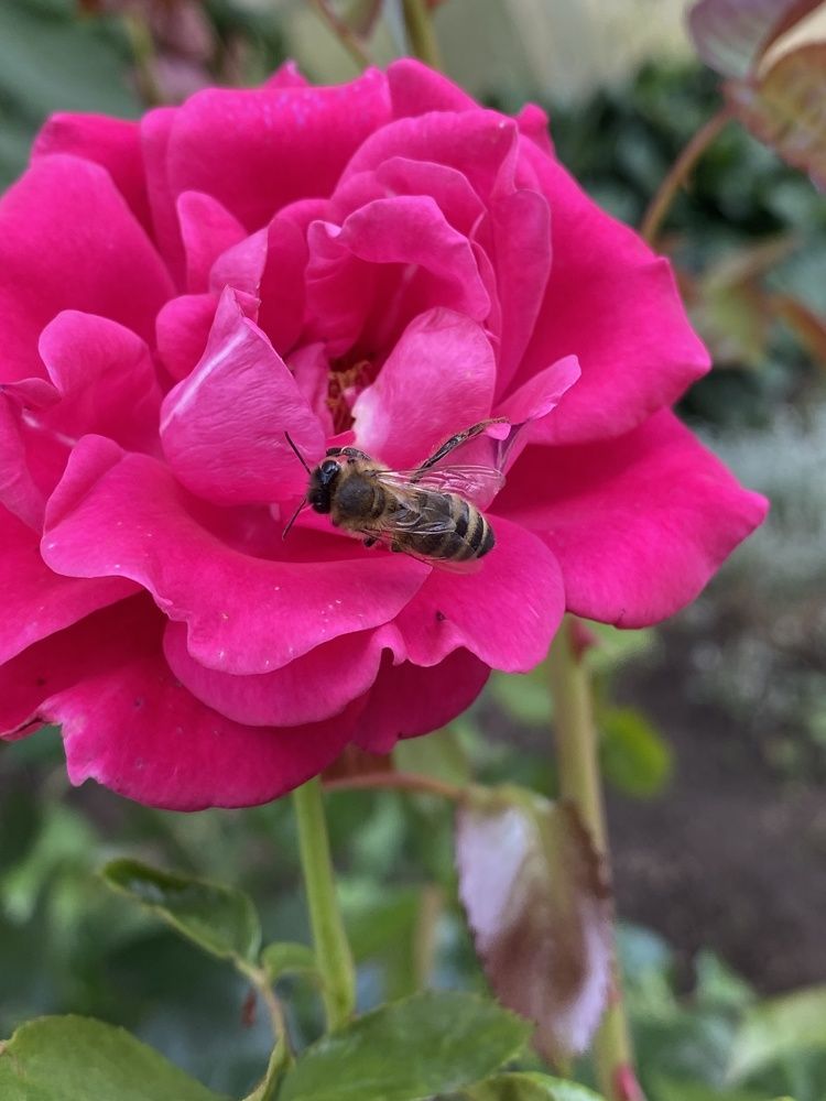 Photograph by Uladzimir Hvozd