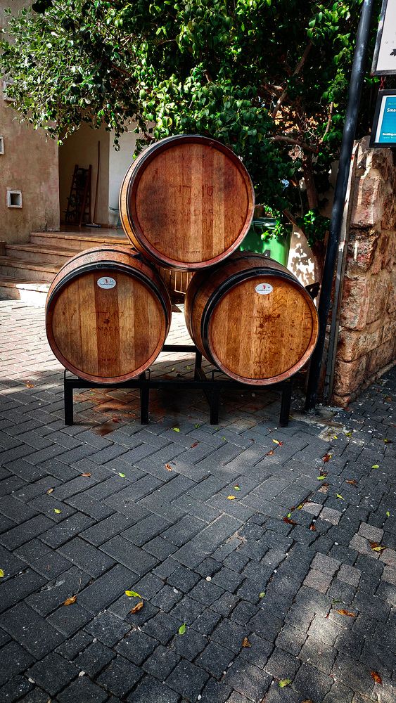 Photograph by Marharita