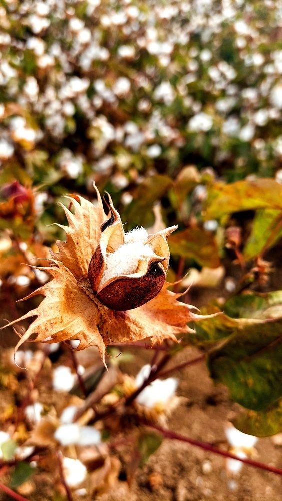 Photograph by Marharita