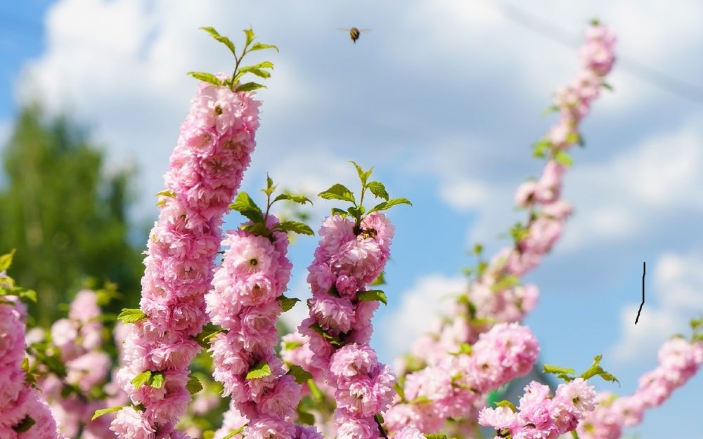 Фотография автора Николай Бологов