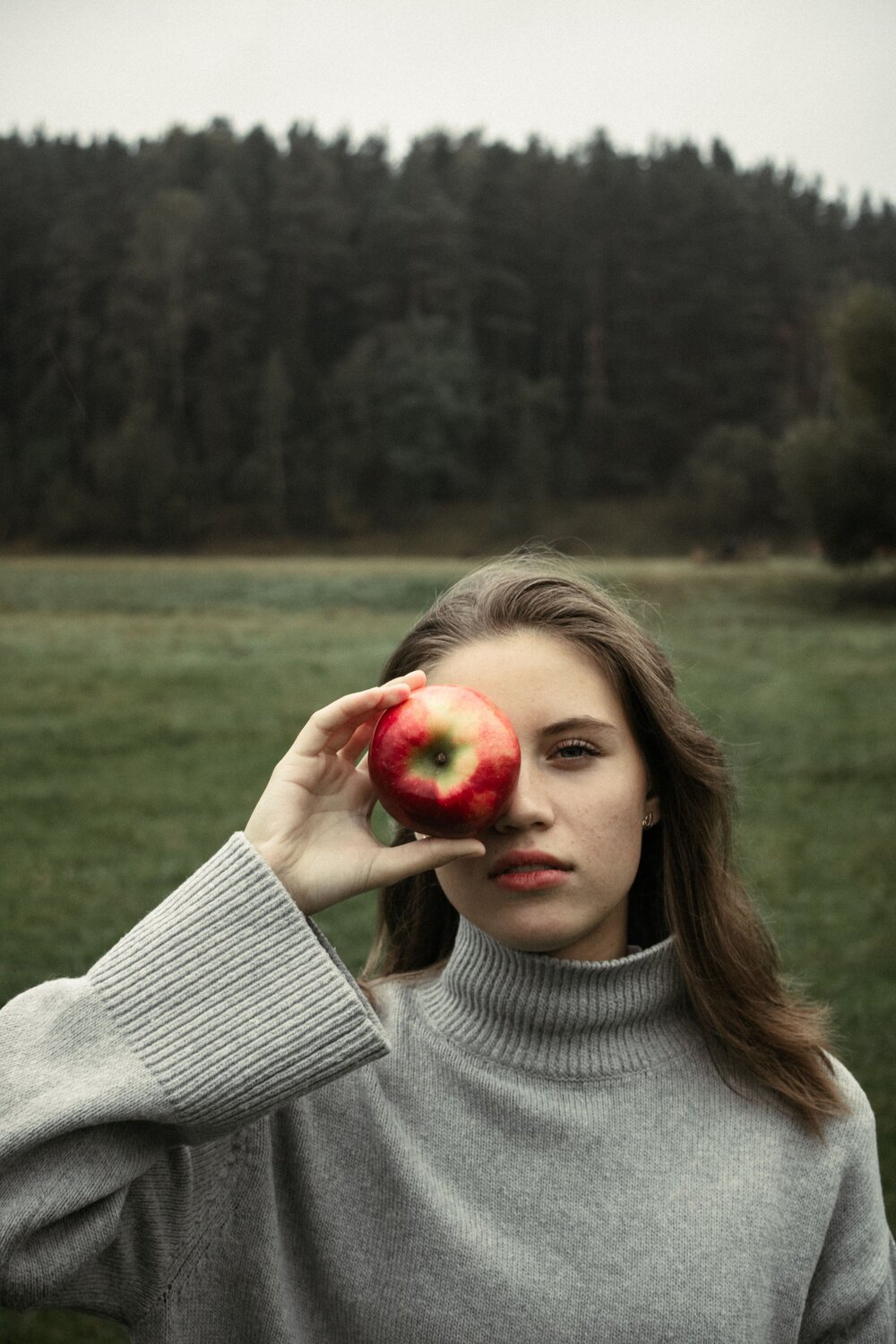 Photo #11452042