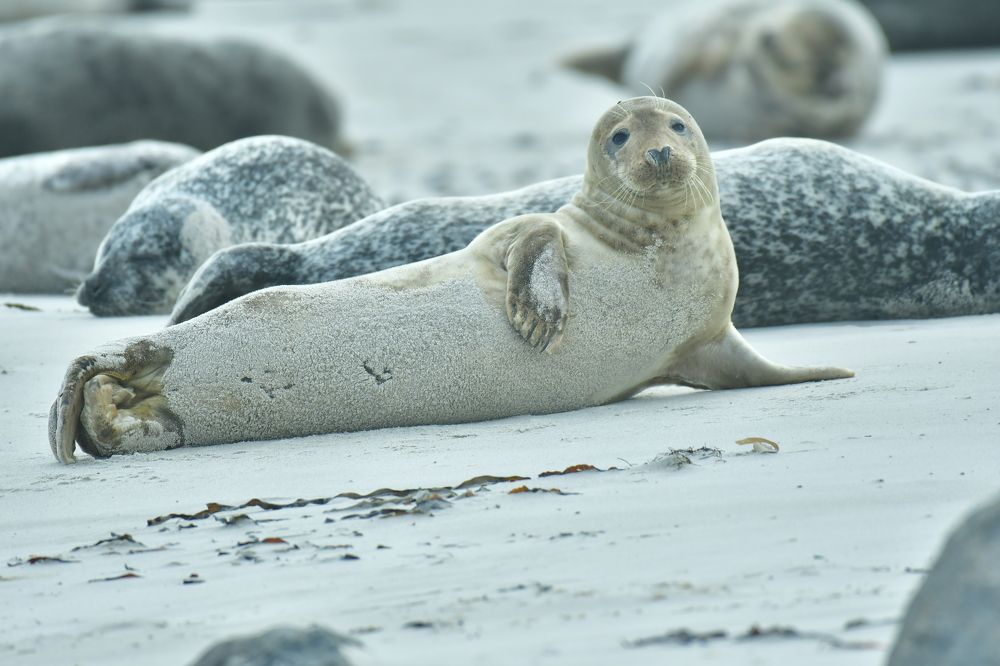 Photograph by nimalan subramaniam