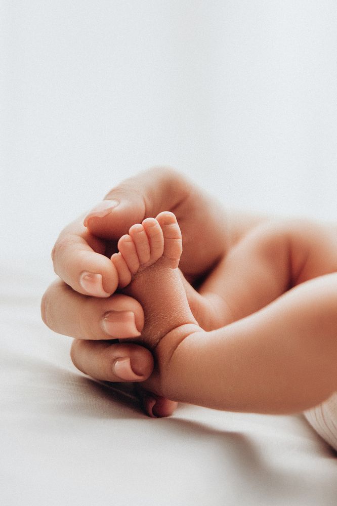 Фотография автора Ману Фалько